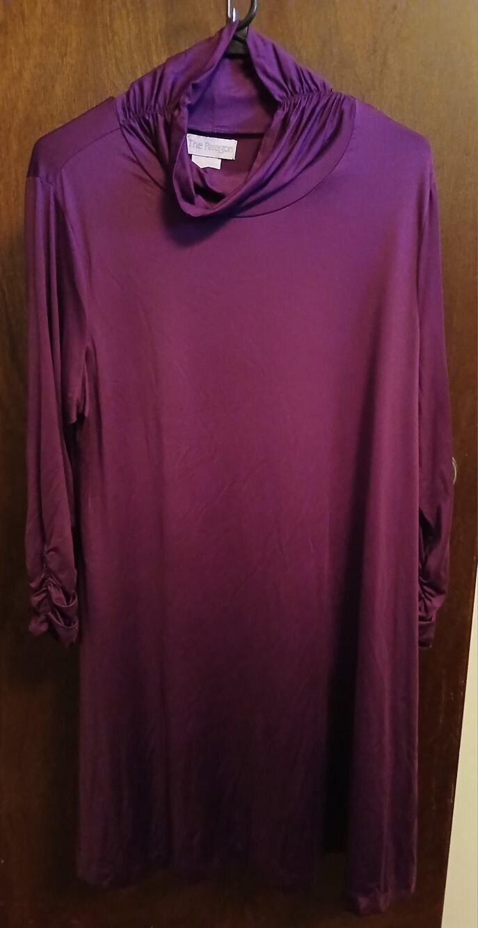 The Paragon Purple Plum Eggplant High Neckline Fall Shift Dress Long Sleeves XL